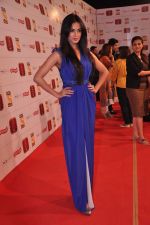 Sonal Chauhan at Stardust Awards 2013 red carpet in Mumbai on 26th jan 2013 (563).JPG